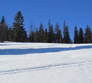 Niebieska trasa do Kotelnicy Express