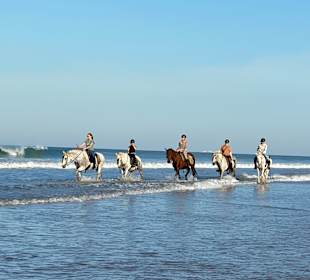 Reitstall Finca el Anfora Conil