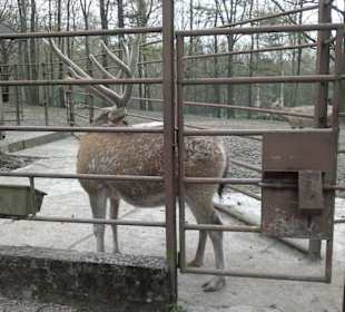 Zoo Ostrava