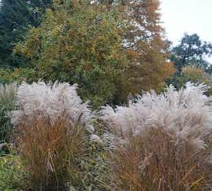 Parkanlage Planten un Blomen