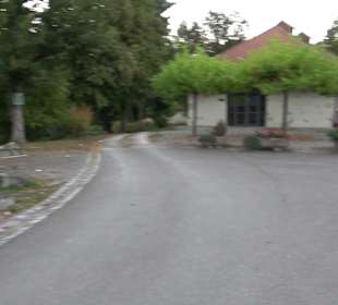 Geistliches Zentrum Kloster Heiligkreuztal Altheim