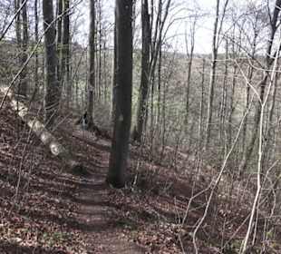 Wanderweg Hochgehkämpft