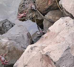 Playa de la Pinta / San Eugenio