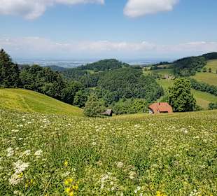 Wandern Bad Krozingen