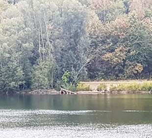 Anderes Ufer Lesbenbereich