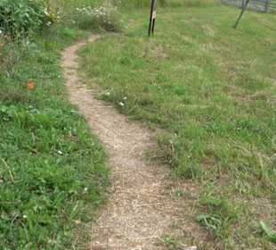 ALB-GOLD Naturgarten