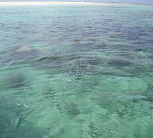 Ausflug Glasbodenboot Diani Beach