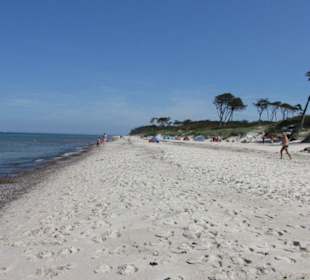 Weststrand
