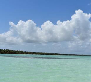Saona