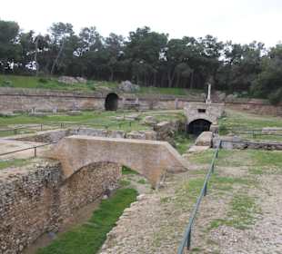 Arena