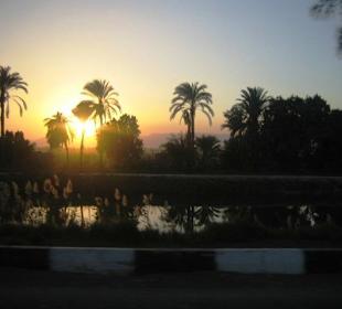 Nil - Luxor nach Qena