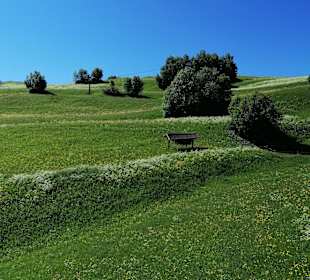 Wandern Ladis