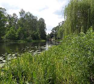 Ausflug im Spreewald
