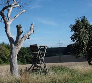 Toller Ausblick