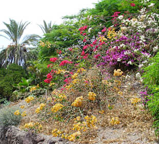 Oasis Park - ein Muss für Naturliebhaber