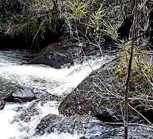 Rundweg „La Isla“ Path