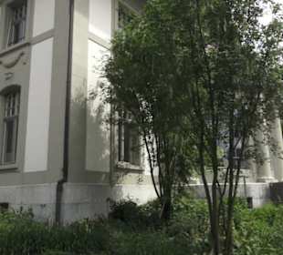 Johann Jakobs Museum