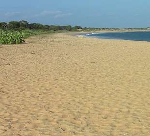 Linke Seite der Beach