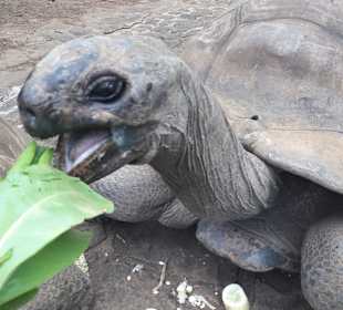 Heritage Nature Reserve