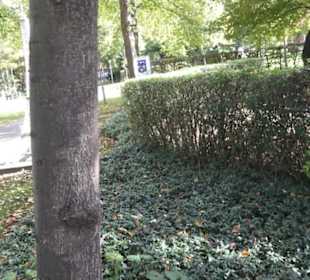 Französischer Garten