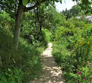Impressionen aus dem Trostberger Rosengarten