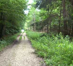 Sonnenaufgangs-Rundwanderung Rübgarten