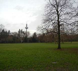 Grüneburgpark
