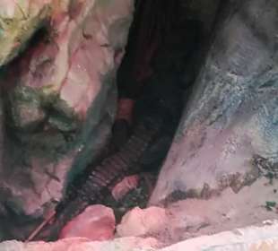 Happ Reptilien Zoo