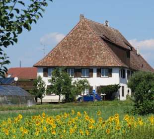 Blumen und alte Häuser