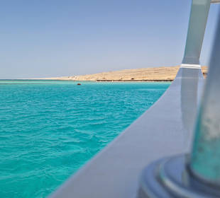 Orange Bay Delfin Tour und Schnorcheln 