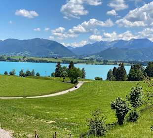 Forggensee