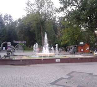Park Zdrojowy Rabka Zdrój 