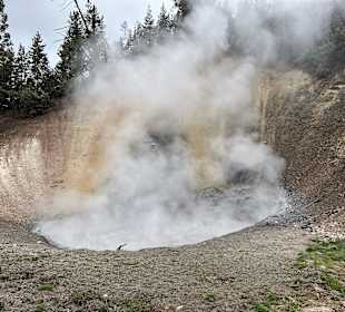 Yellowstone Nationalpark