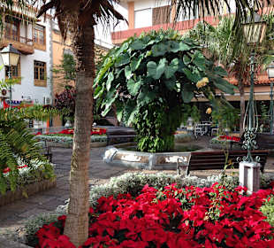 Altstadt