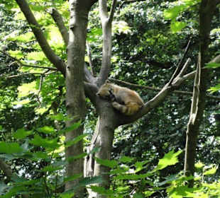 Zoologischer Garten 2016