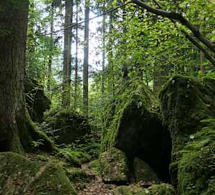 Wunderbarer Märchenwald bei Ruhpolding