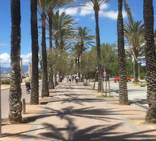 Strandpromenade Playa/Platja de Palma