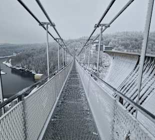 Harzdrenalin Hängebrücke