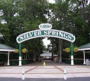 Eingang Silver Springs