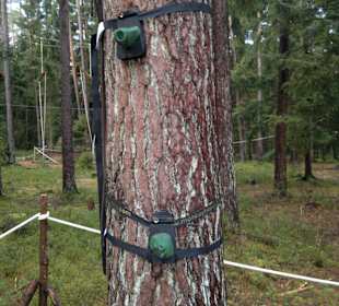 Im Januar mal ohne Betrieb