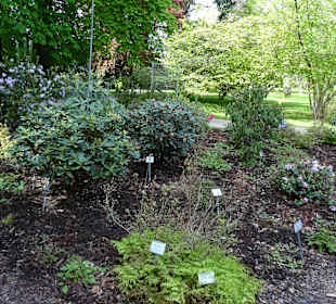 Garten Hohenheim