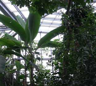 Tropicarium