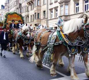 Brauerei Zirndorf 6er Span