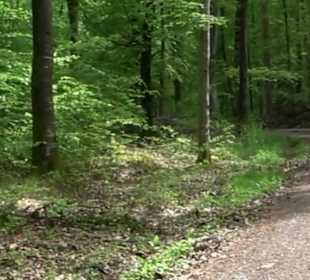 Naturpark Schönbuch