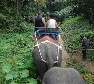 Elefantenreiten