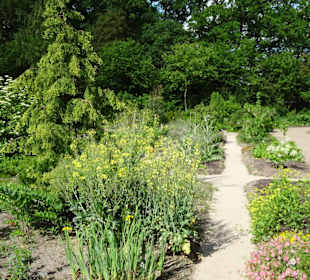 Spaziergang durch den Botanischen Garten Bremen