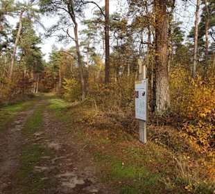 Üfter Mark Ameisen Barfußpfad Hinweistafel am Weg