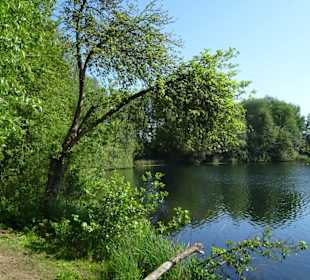 Spaziergang am südlichen Ufer des Sees