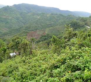 Wildlife Expeditions