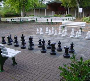 Großraum-Schach